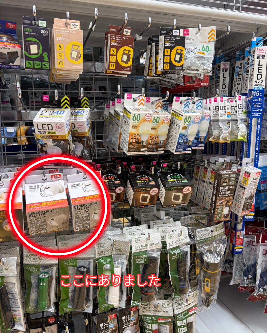 ダイソー センサーライトボールタイプ 売り場 電気用品コーナー