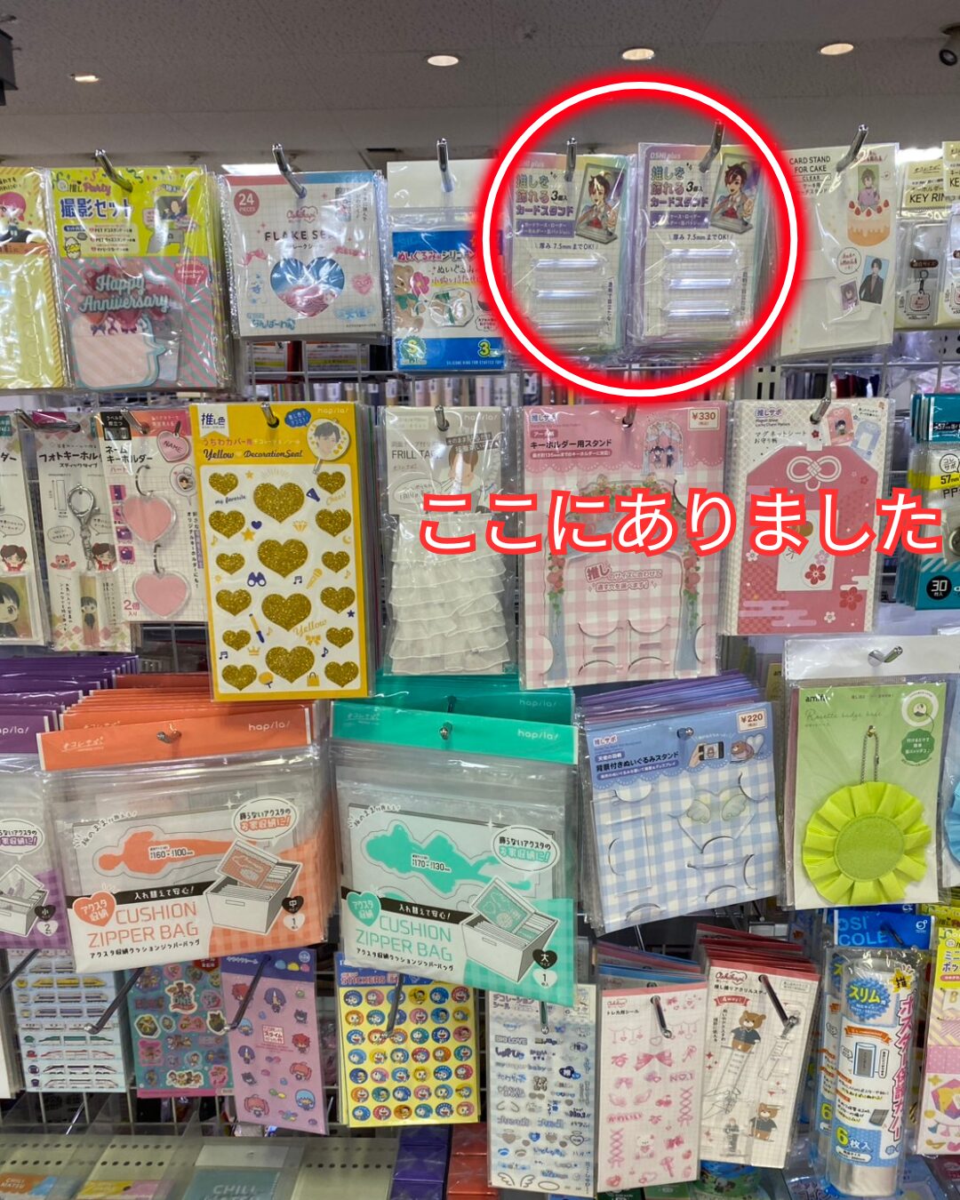 キャンドゥ 推し活カードケーススタンド3P 売り場 推し活コーナー