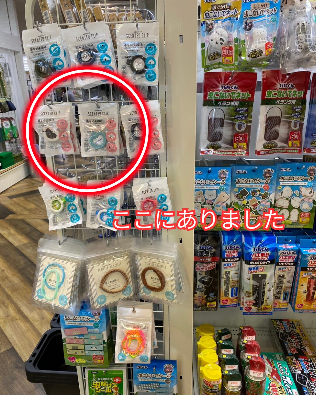キャンドゥの虫除けクリップ売り場