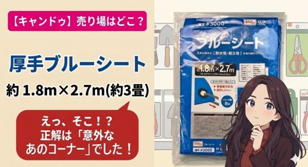 キャンドゥの厚手ブルーシート売り場と使用感を紹介するブログアイキャッチ
