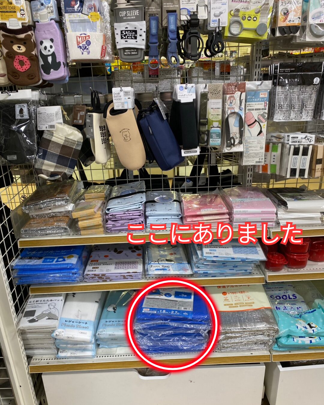 レジャー用品コーナーに並ぶキャンドゥの厚手ブルーシート