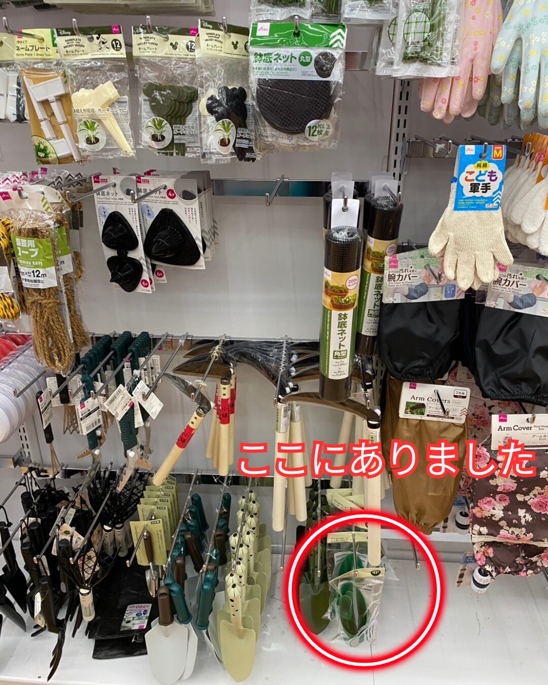 ミニガーデンセット4Pが陳列されているダイソーの園芸用品売り場